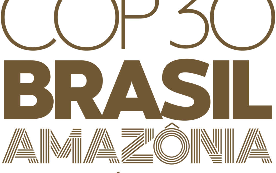 IAB comporá a delegação oficial do Brasil na COP30