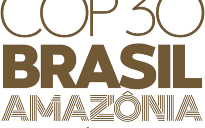 IAB comporá a delegação oficial do Brasil na COP30