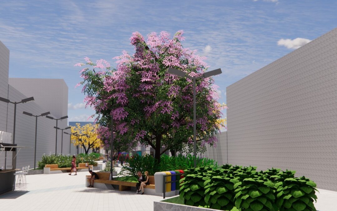 Hospital Santa Casa – Campo Grande/MS: Humanização dos Espaços do Entorno