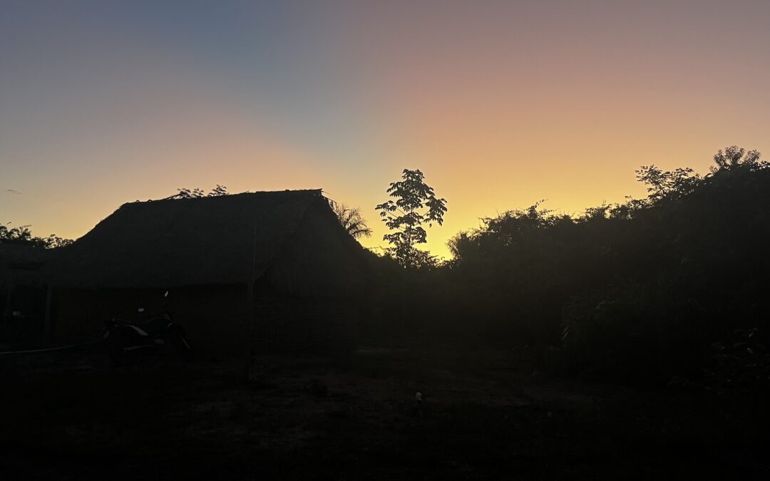 Entre os Guajajara: caminhos para compreender modos de vida originários na Terra Indígena Araribóia