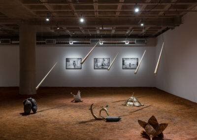 Exposição Terraconcreto