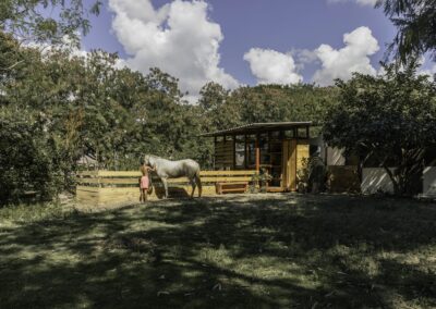 Viveiro de Mudas Ocupação Fazendinha