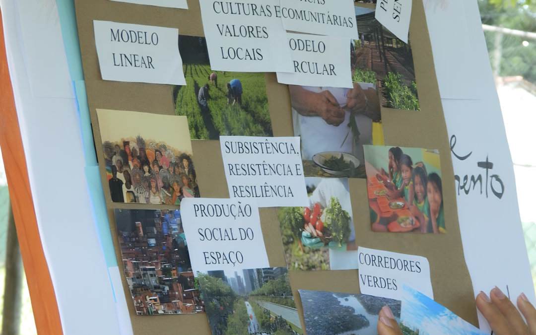 Habitar Saudável: multimeios da abordagem socioecológica em projetos de interesse social