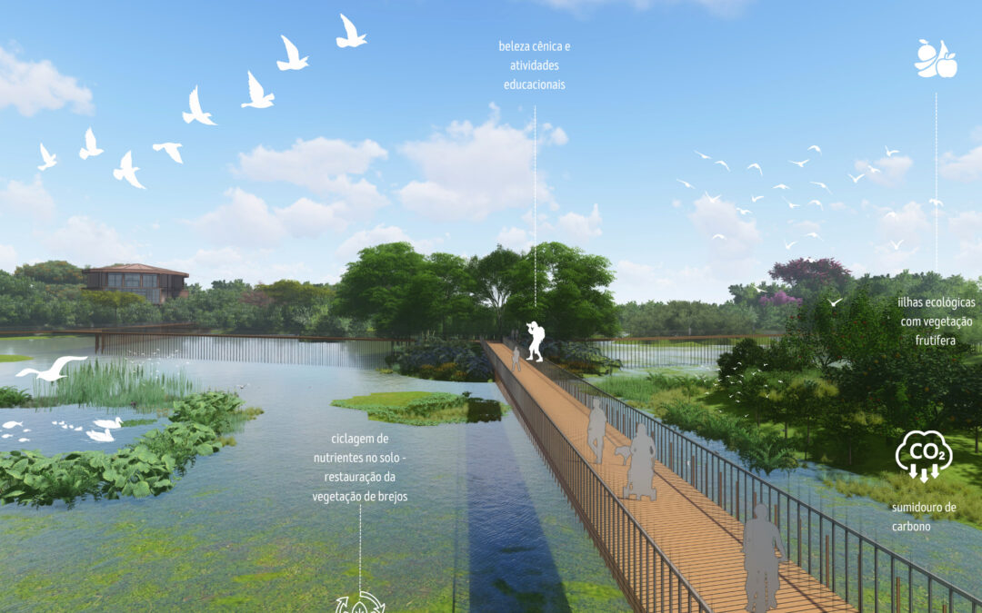 Plano de manejo das águas e serviços ecossistêmicos de áreas úmidas da bacia do rio das ostras